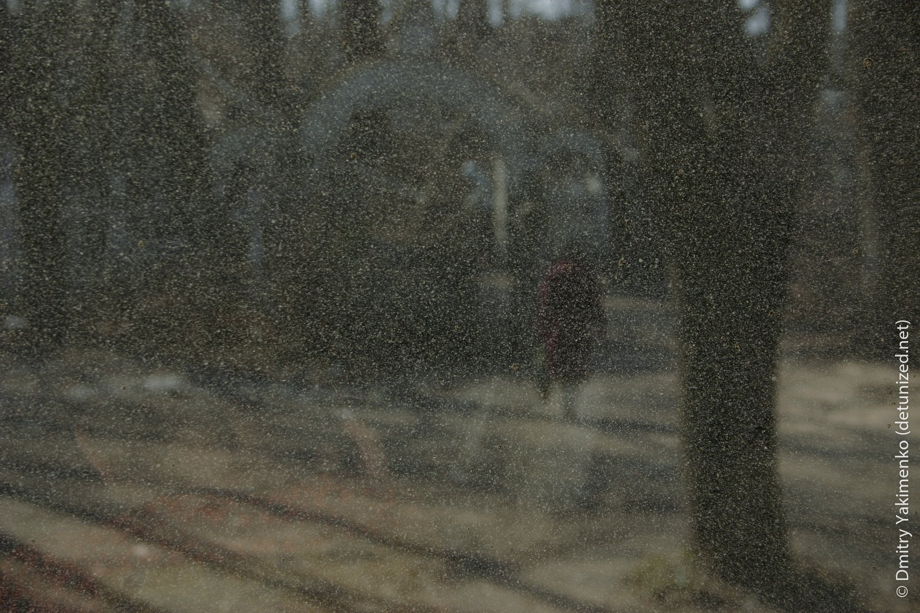 Out and About, 2004 to 2006, photo 1 of 15