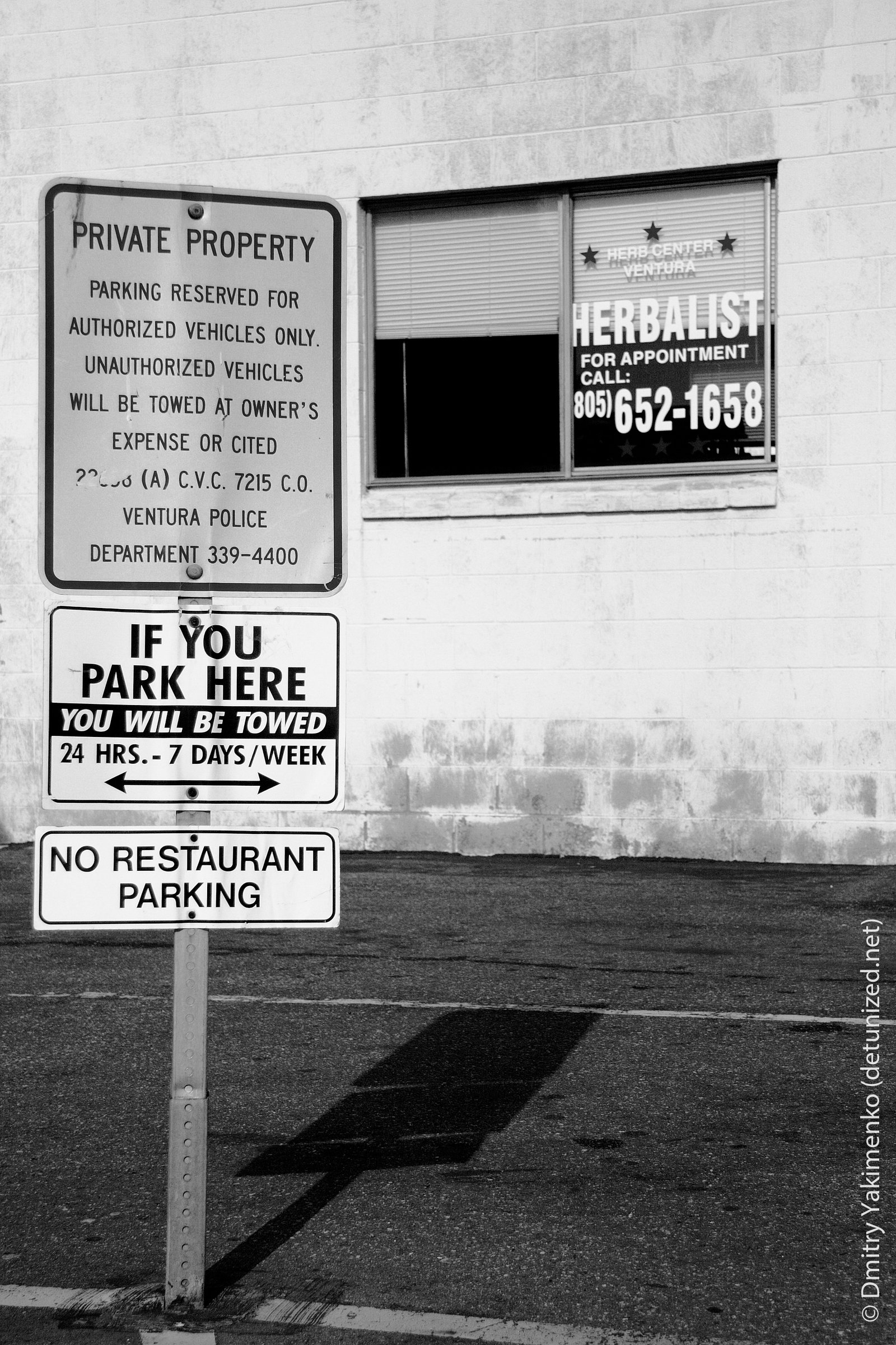 Black and Sepia, 2004 to 2005, photo 13 of 18