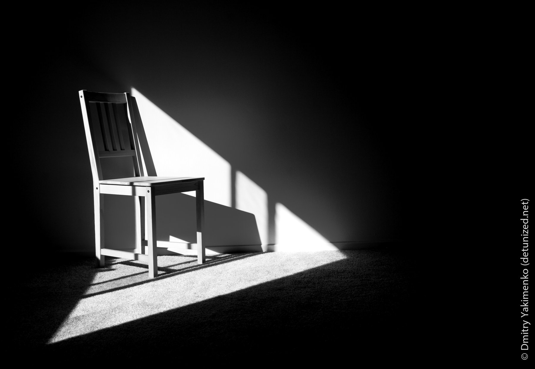 Still Lifes, 2005, photo 4 of 26