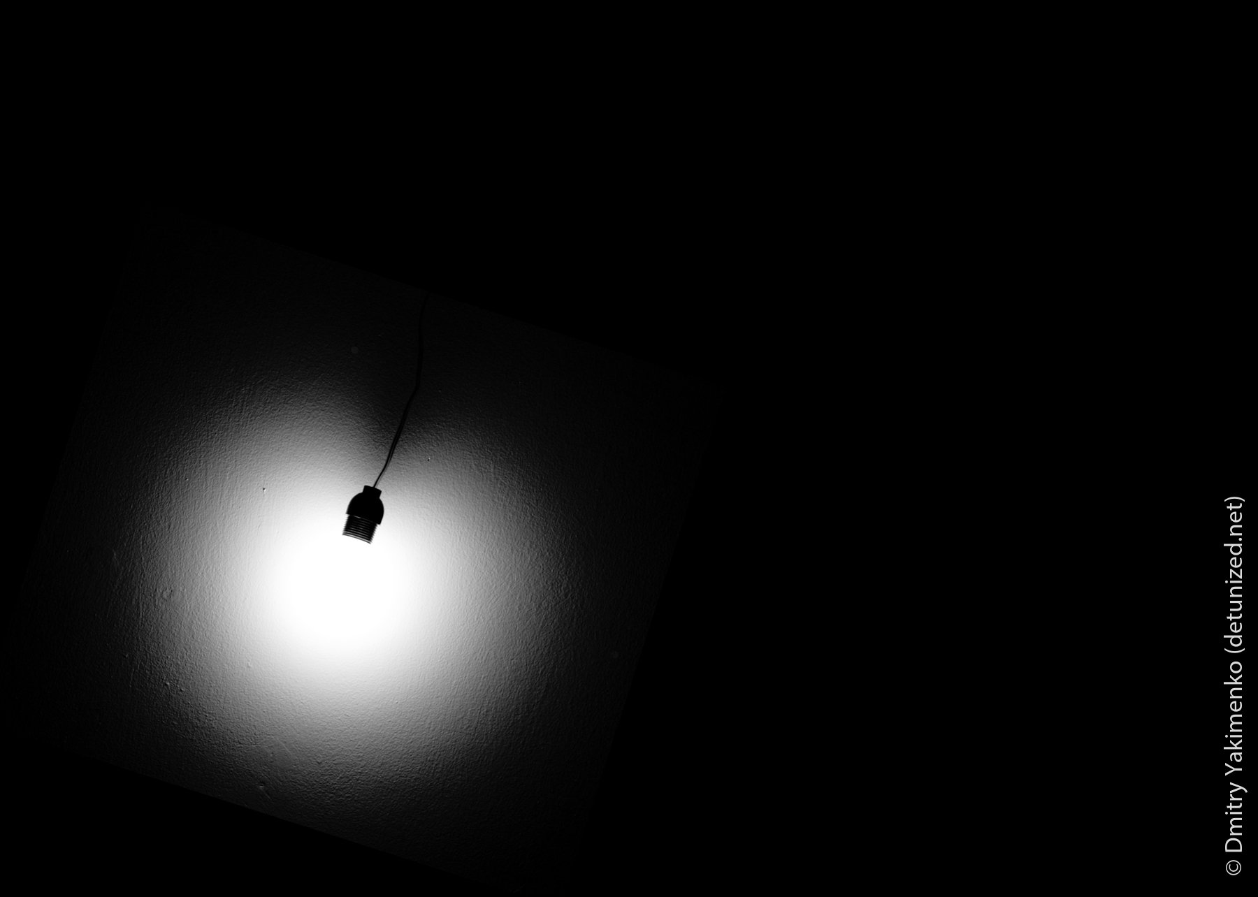 Still Lifes, 2005, photo 8 of 26
