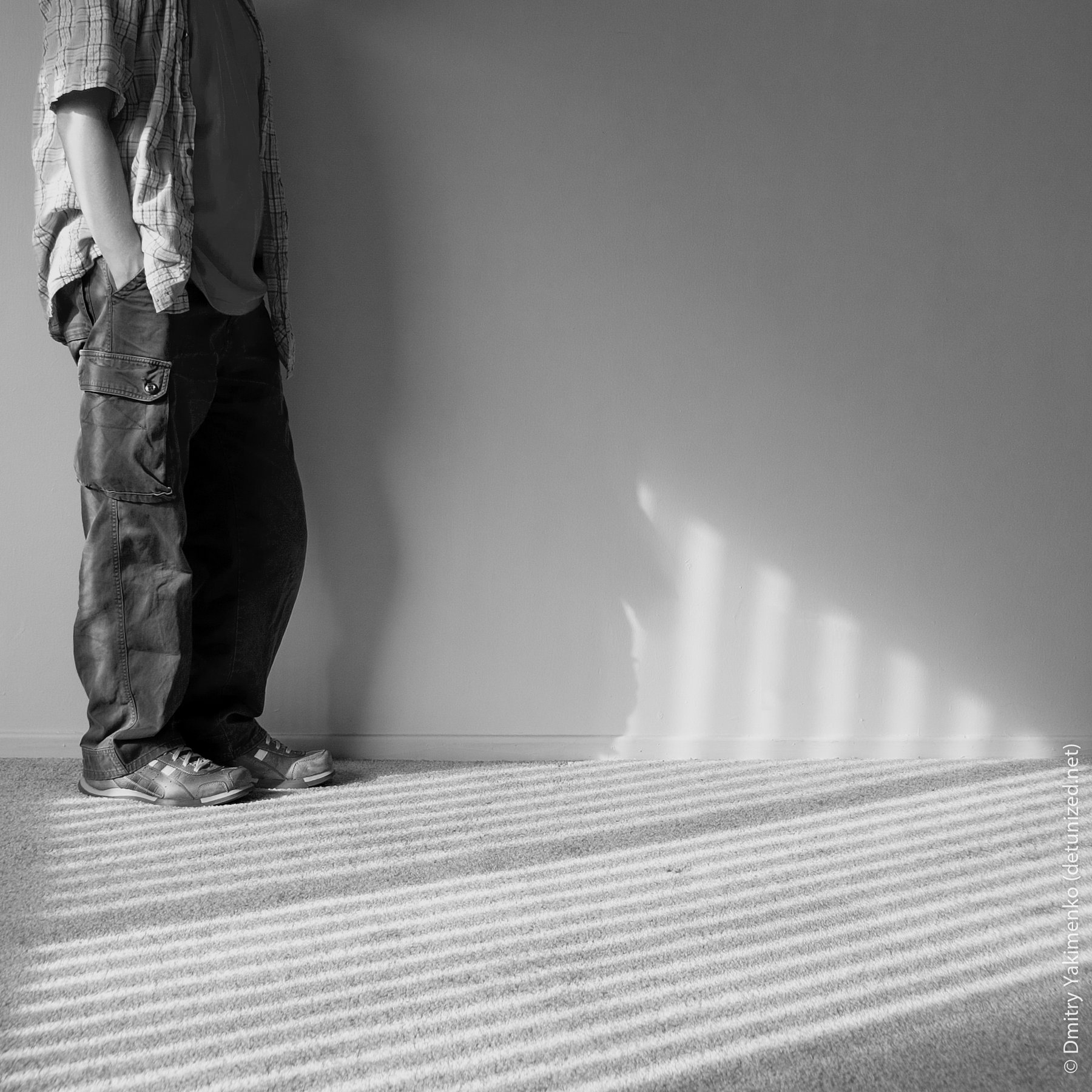Still Lifes, 2005, photo 12 of 26