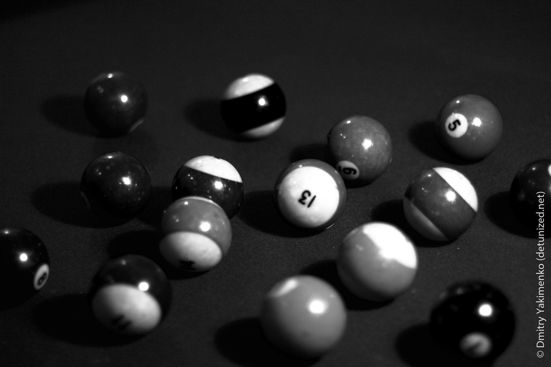 Still Lifes, 2005, photo 23 of 26