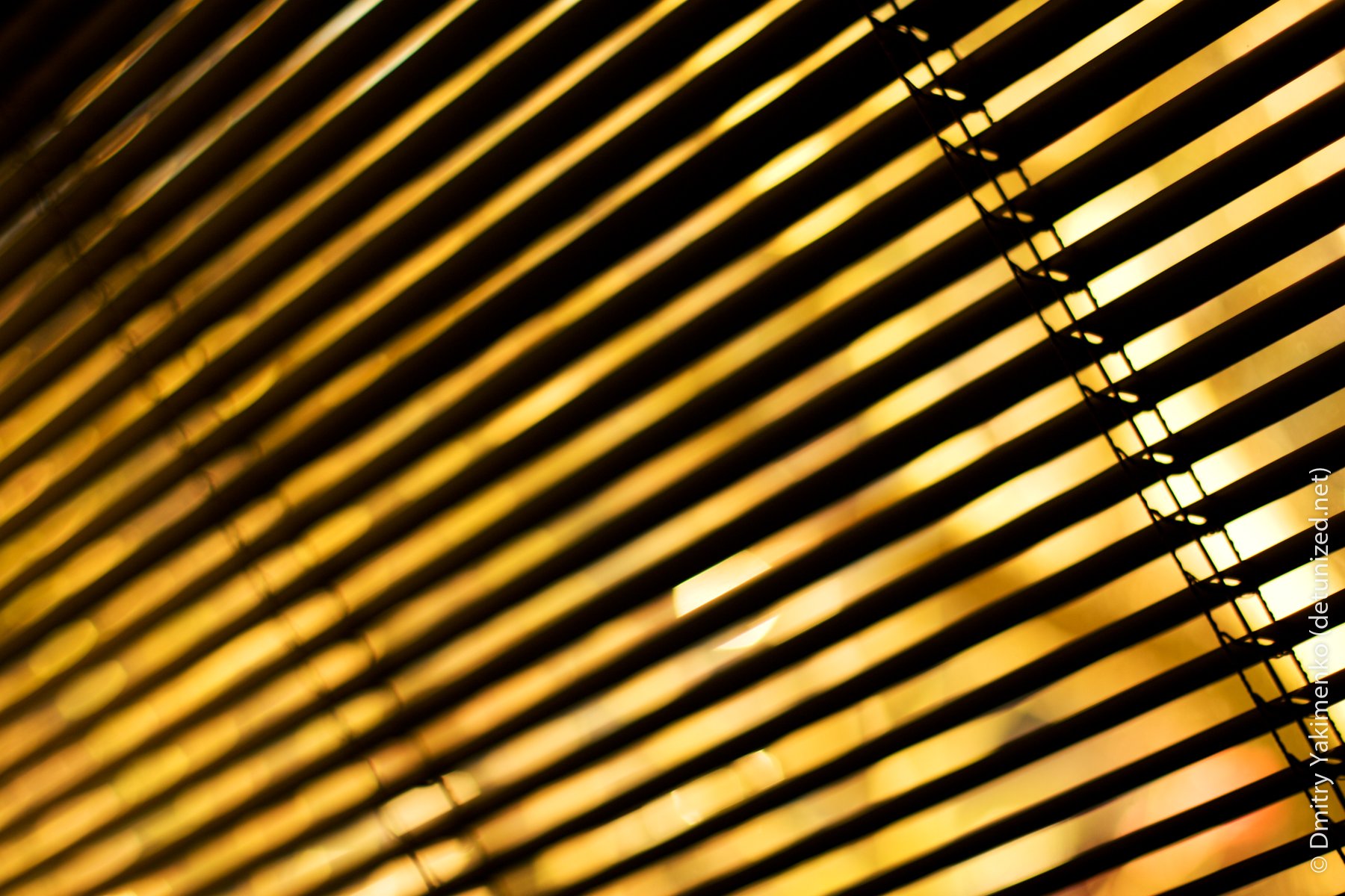 Light and Color, 2005 to 2006, photo 6 of 15