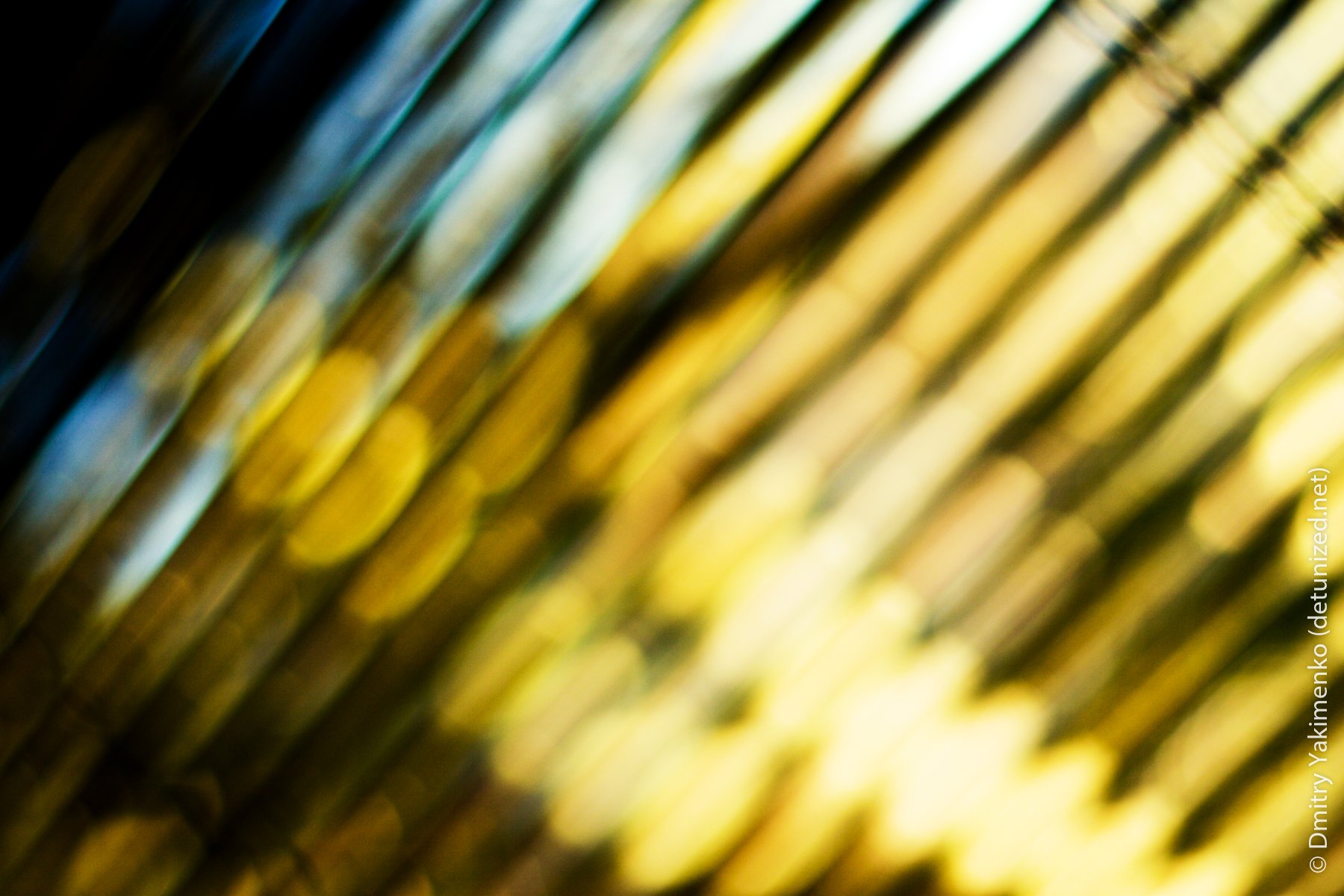 Light and Color, 2005 to 2006, photo 7 of 15