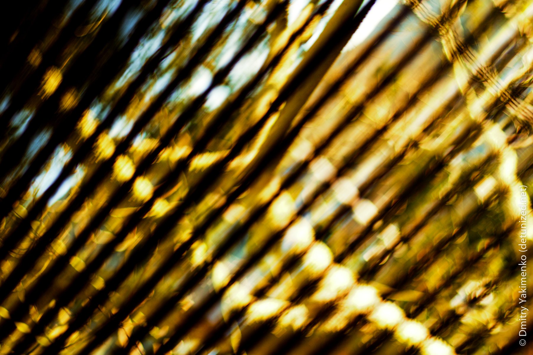 Light and Color, 2005 to 2006, photo 8 of 15