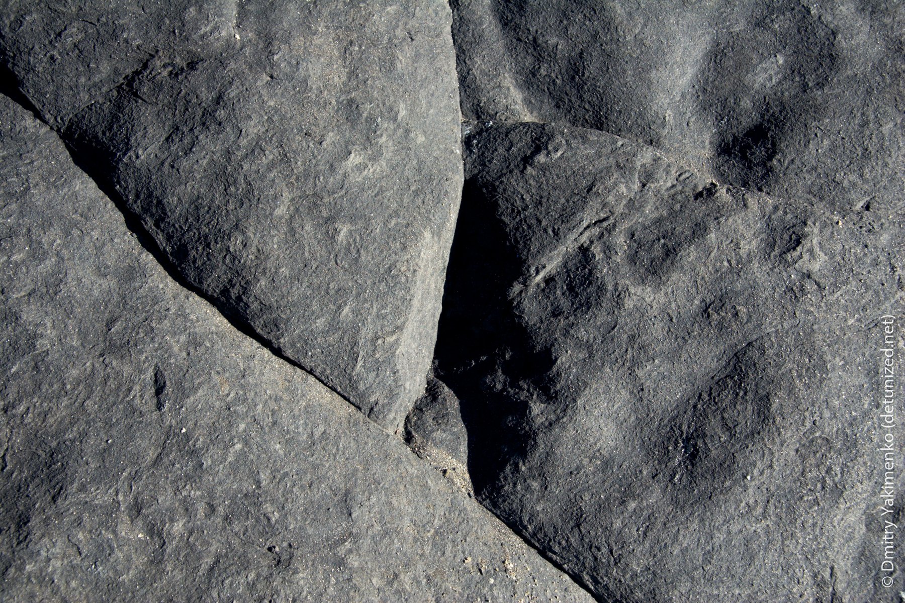 Textures, 2005 to 2006, photo 6 of 15