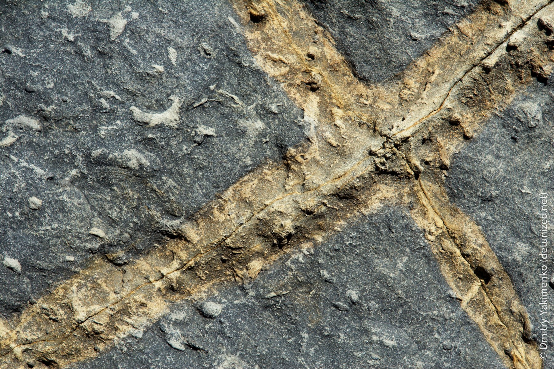 Textures, 2005 to 2006, photo 8 of 15