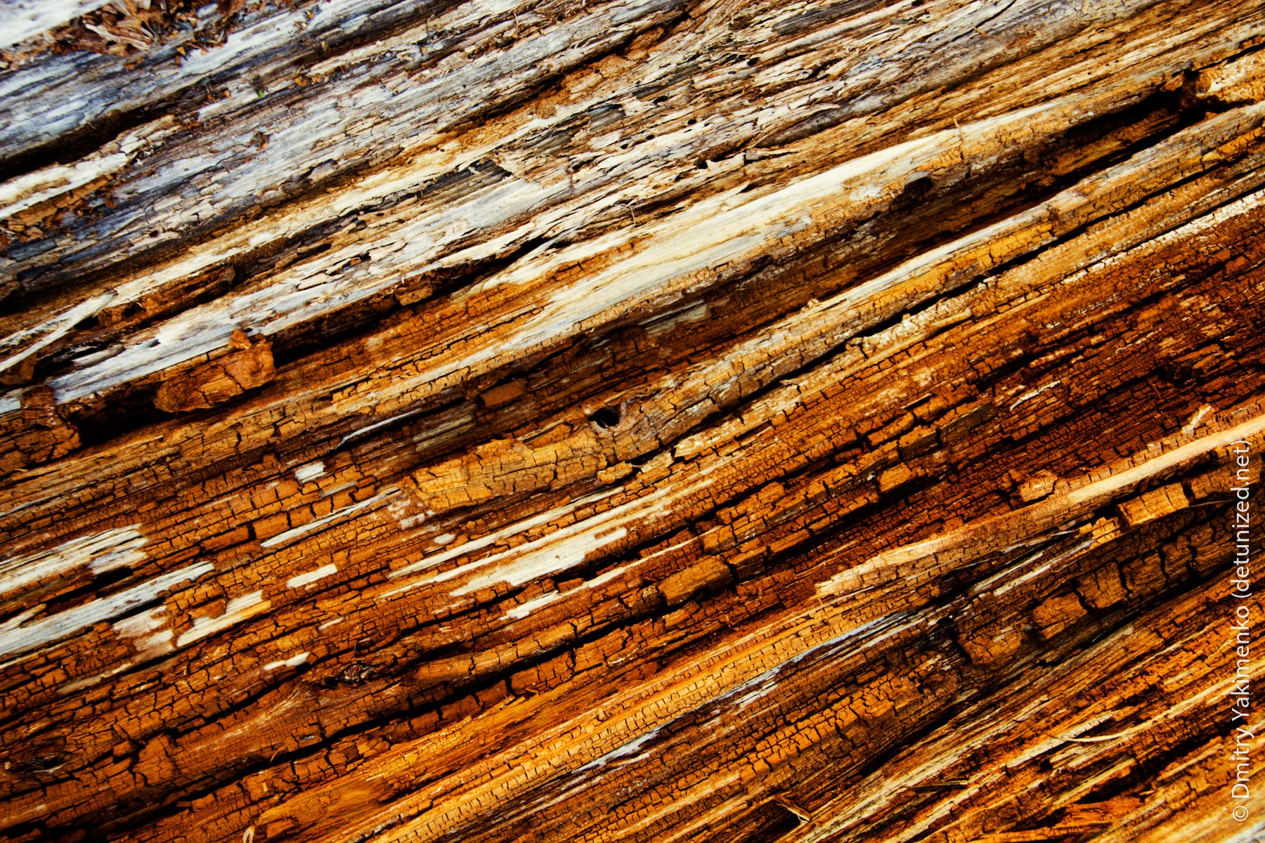 Textures, 2005 to 2006, photo 14 of 15