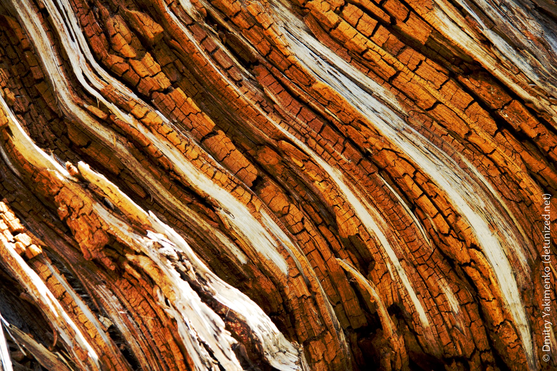 Textures, 2005 to 2006, photo 15 of 15