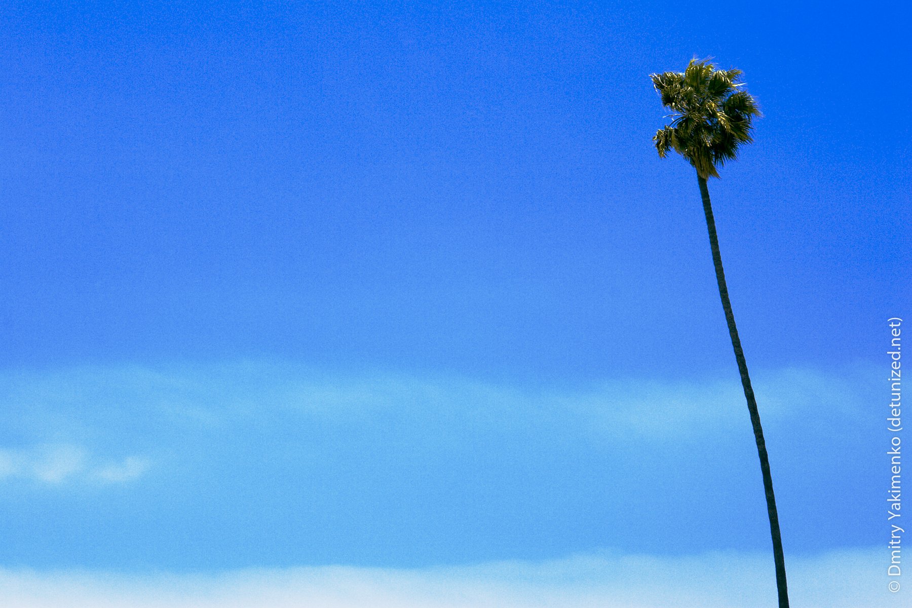 Santa Monica, June 2005, photo 22 of 26