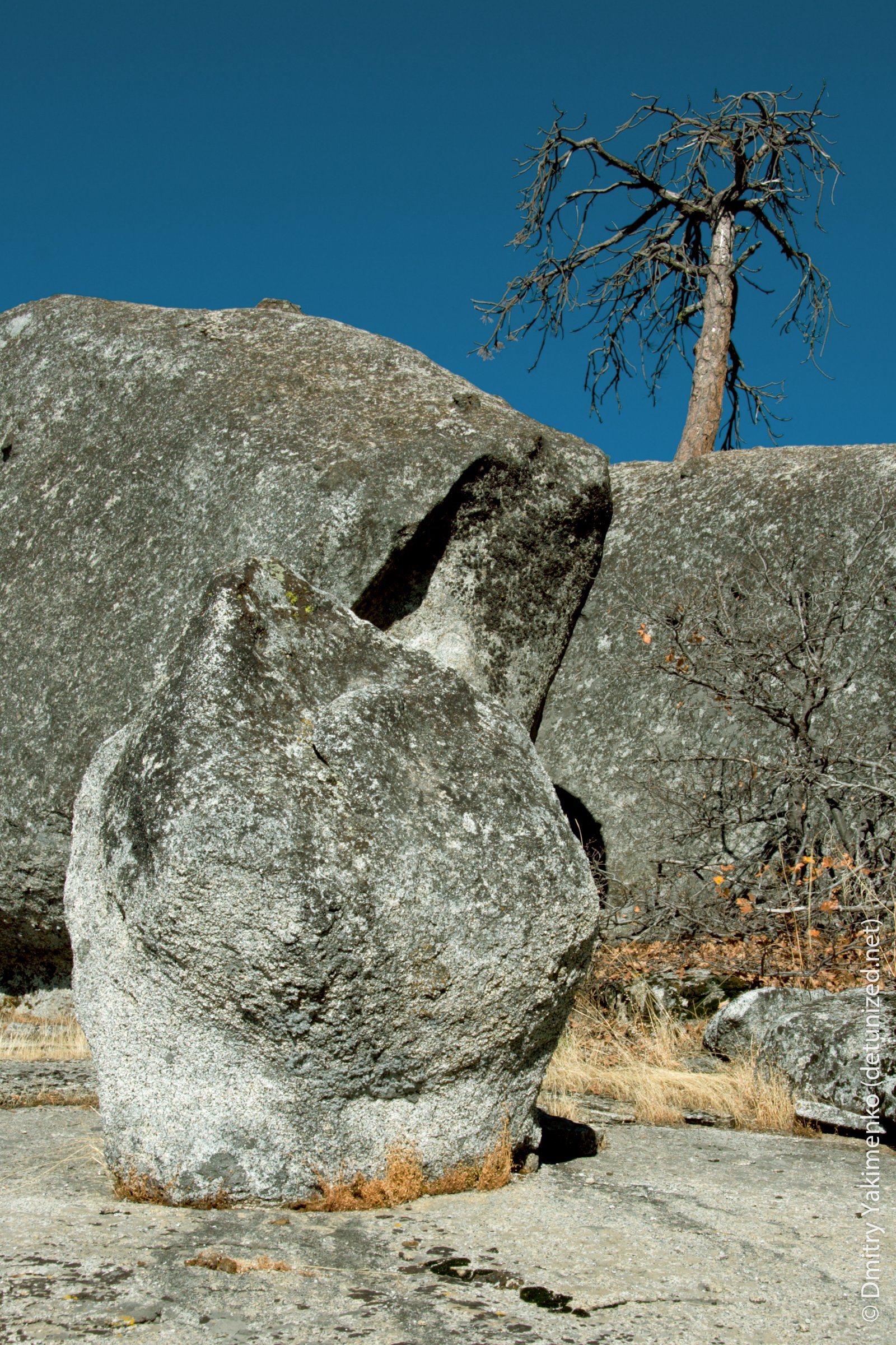 Sequoia, November 2005, photo 5 of 16