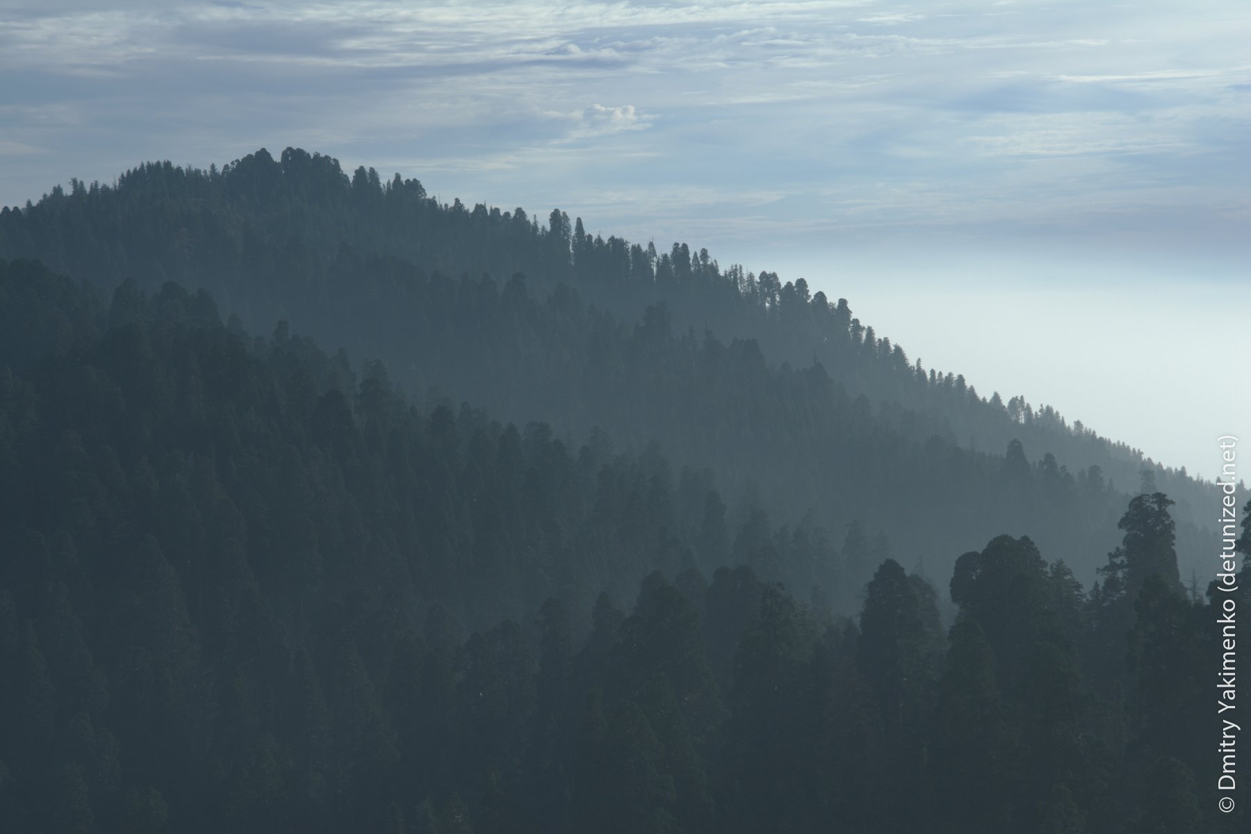 Sequoia, November 2005, photo 8 of 16
