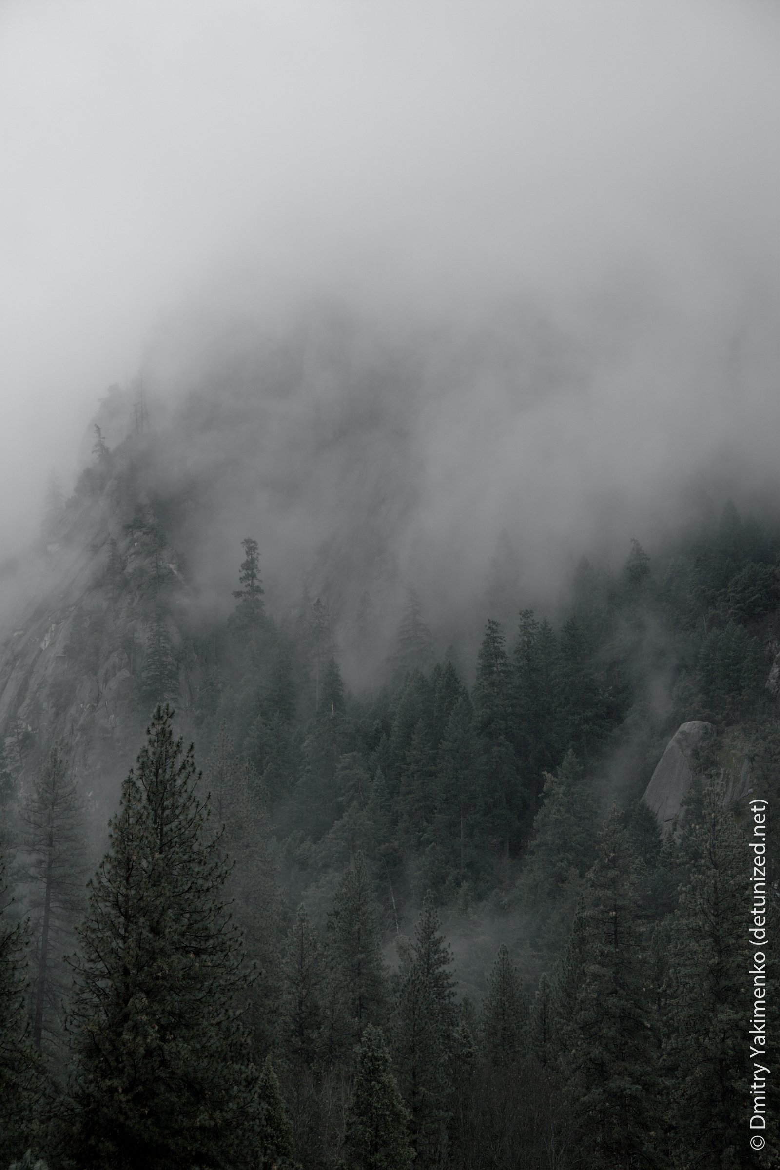 Yosemite, November 2005, photo 3 of 13