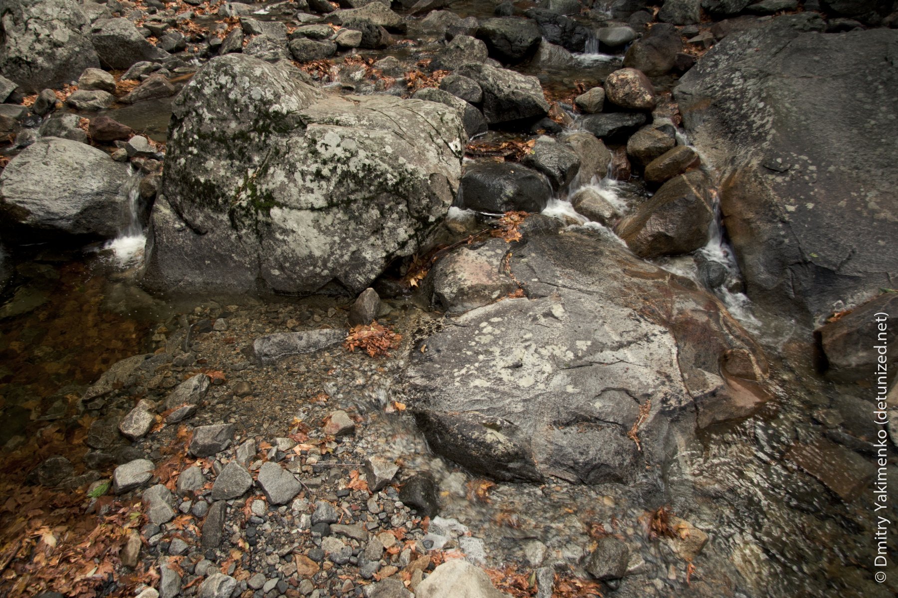 Yosemite, November 2005, photo 7 of 13