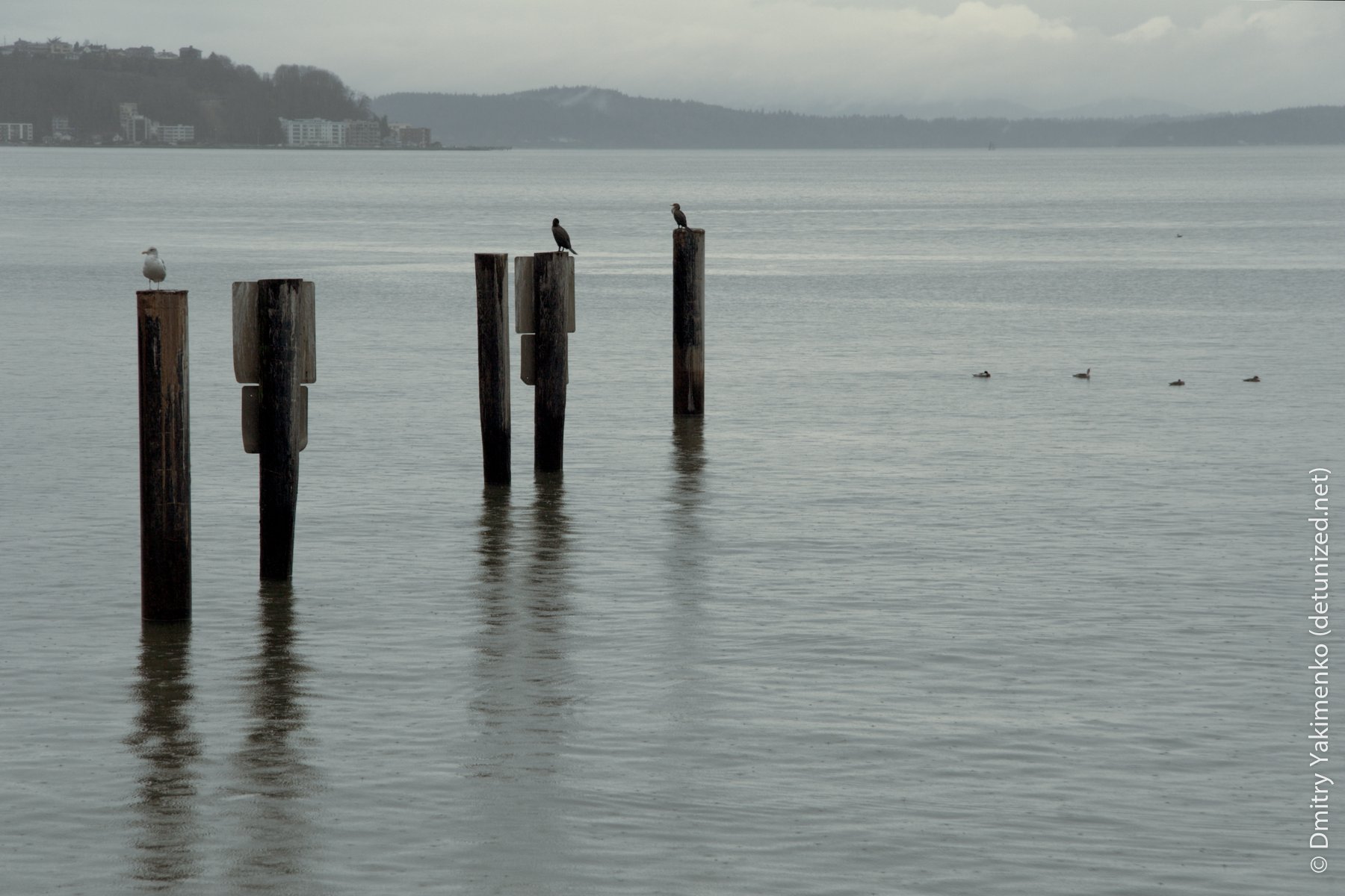 Seattle, December 2005, photo 14 of 21