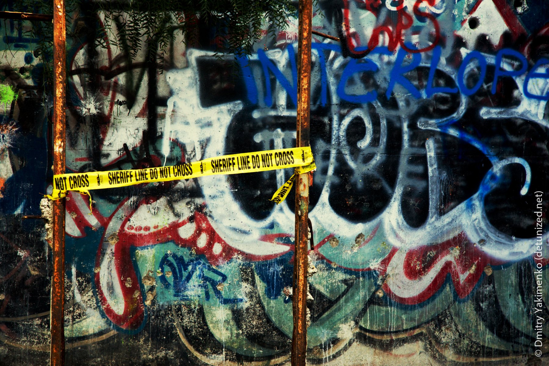 Scary Dairy, March 2006, photo 7 of 8