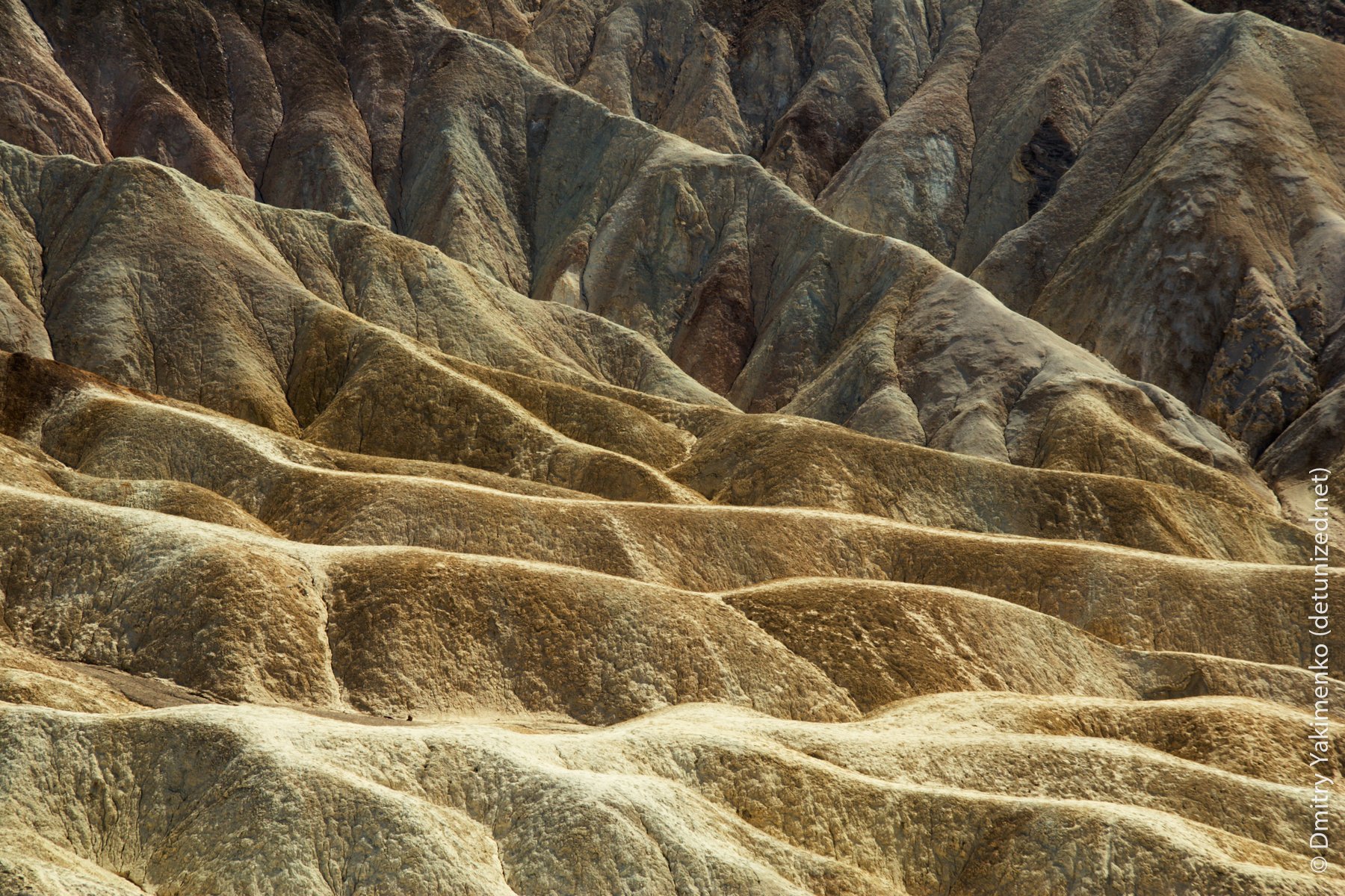 Death Valley, May 2006, photo 5 of 15