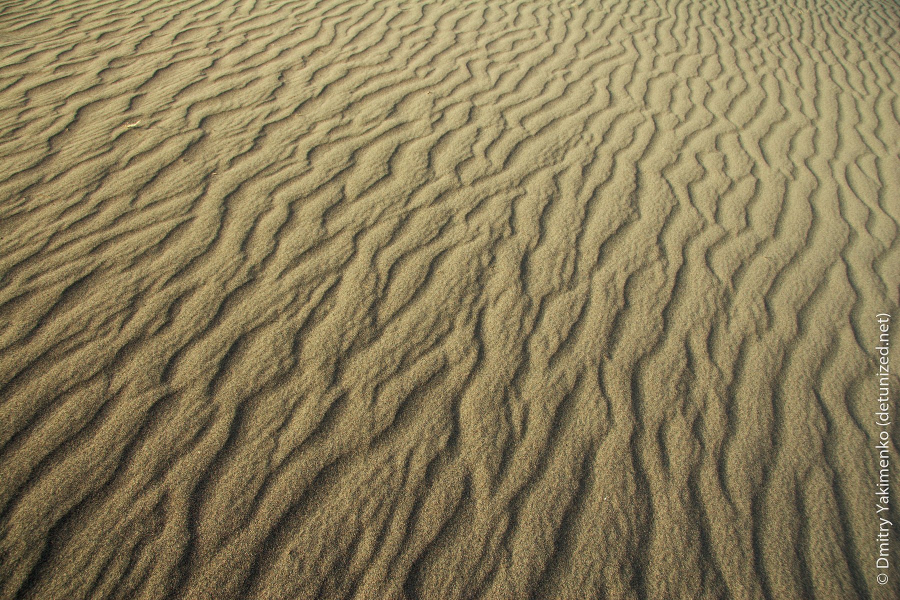 Death Valley, May 2006, photo 6 of 15
