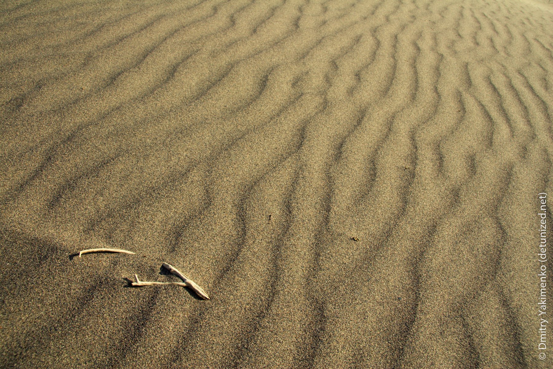 Death Valley, May 2006, photo 7 of 15
