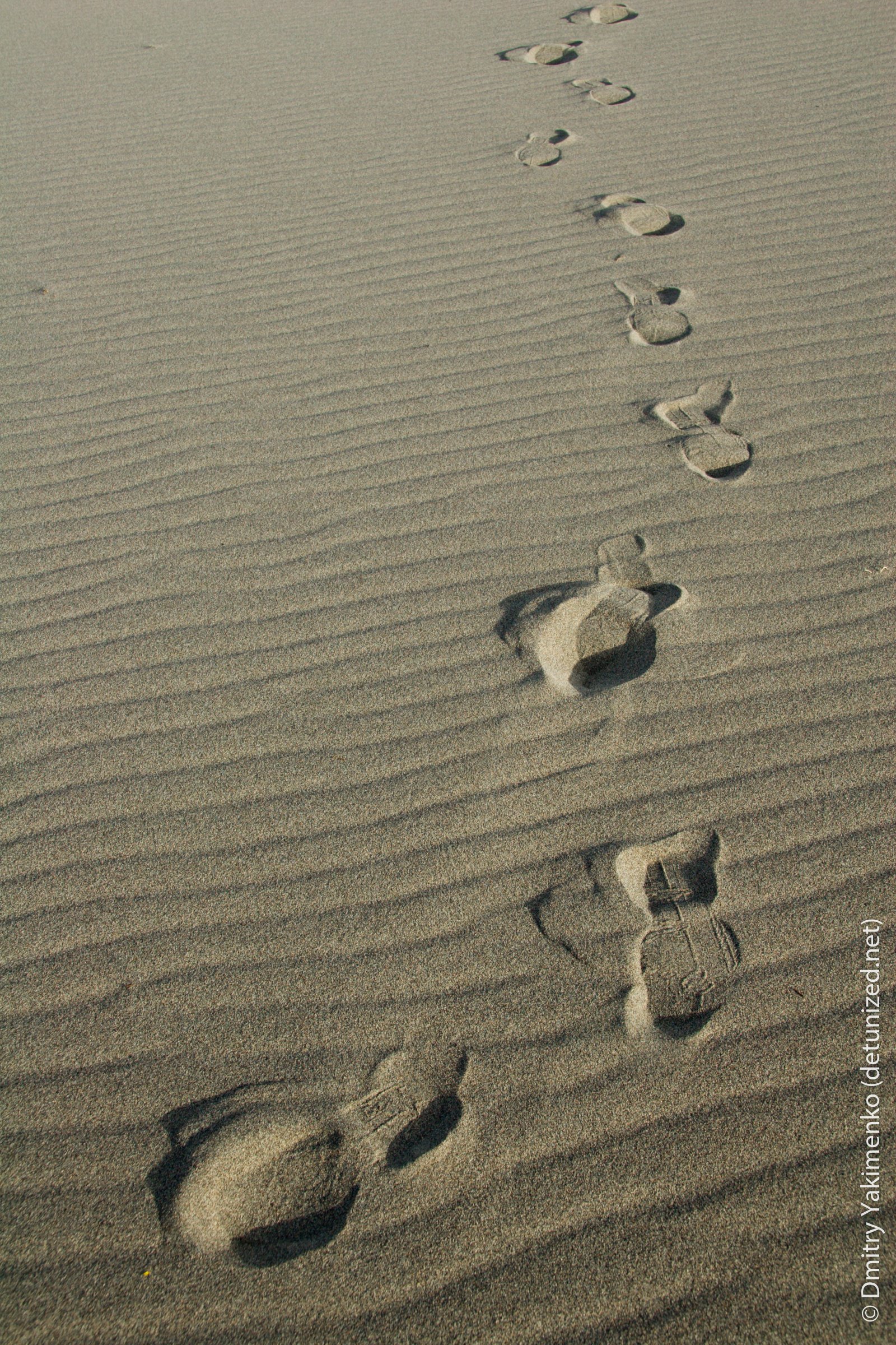 Death Valley, May 2006, photo 8 of 15