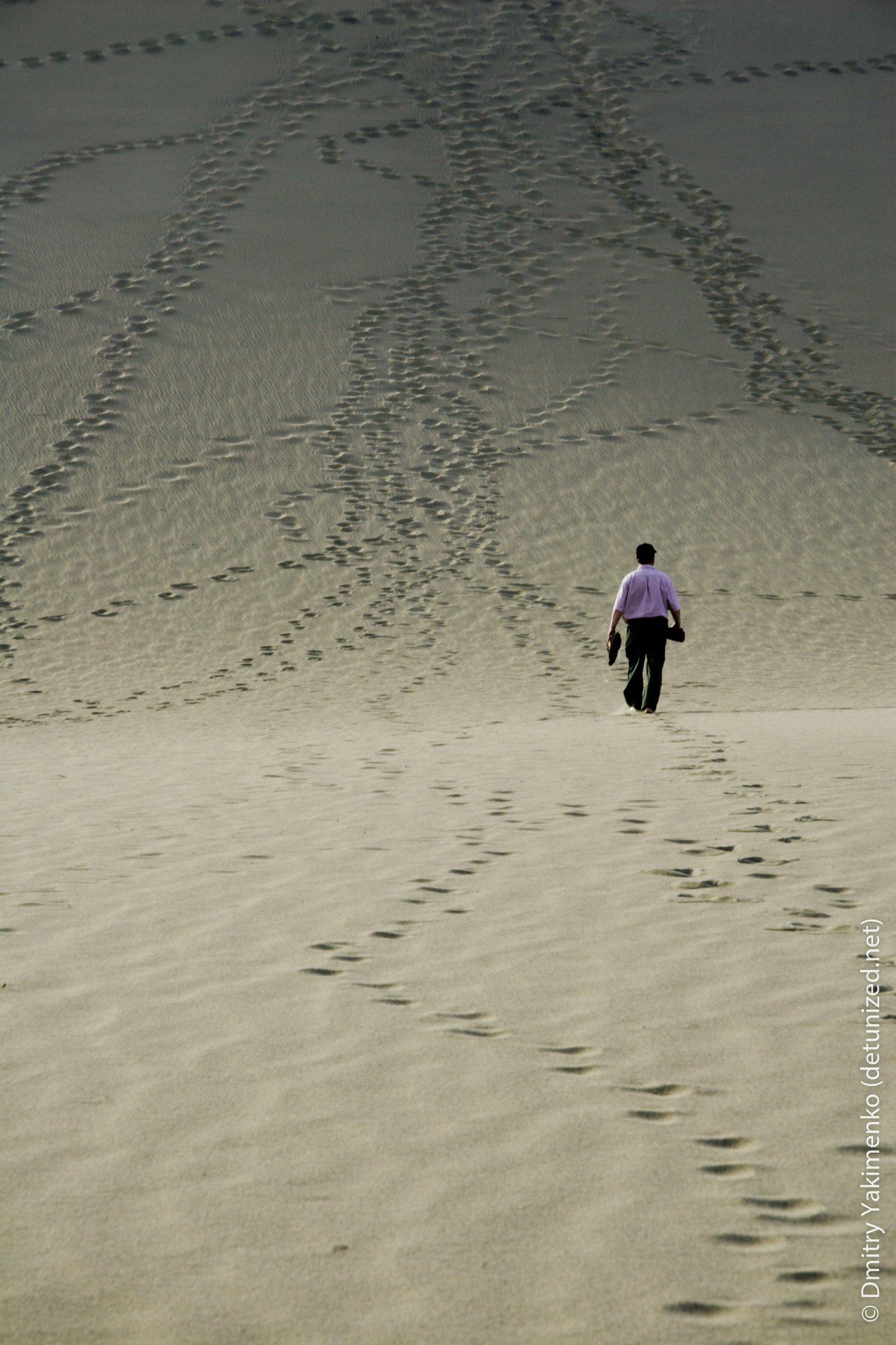 Death Valley, May 2006, photo 9 of 15