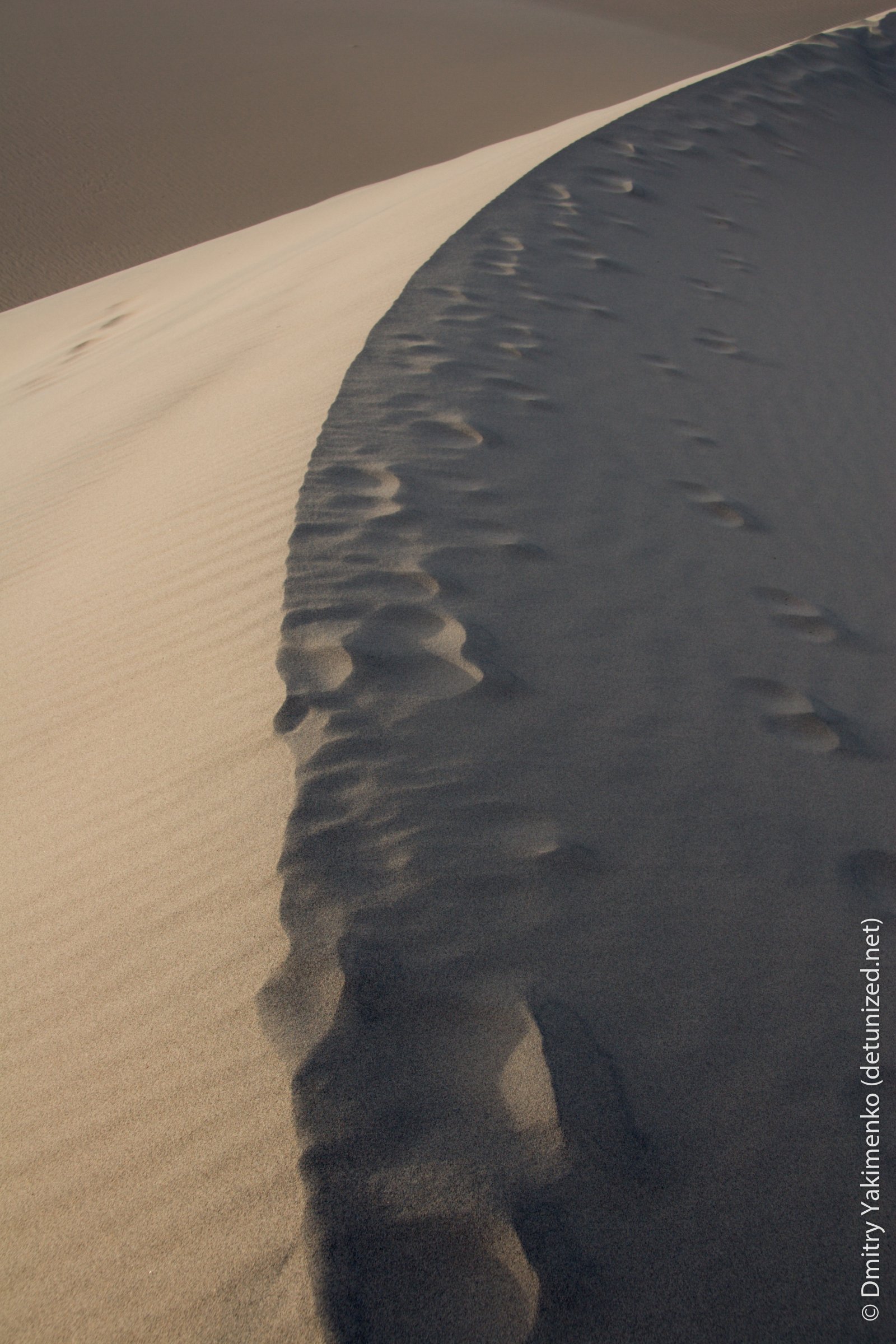 Death Valley, May 2006, photo 12 of 15