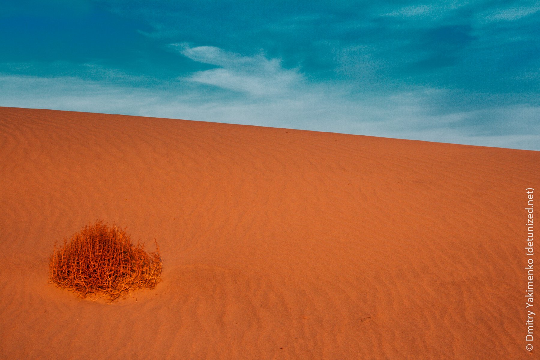 Death Valley, May 2006, photo 15 of 15