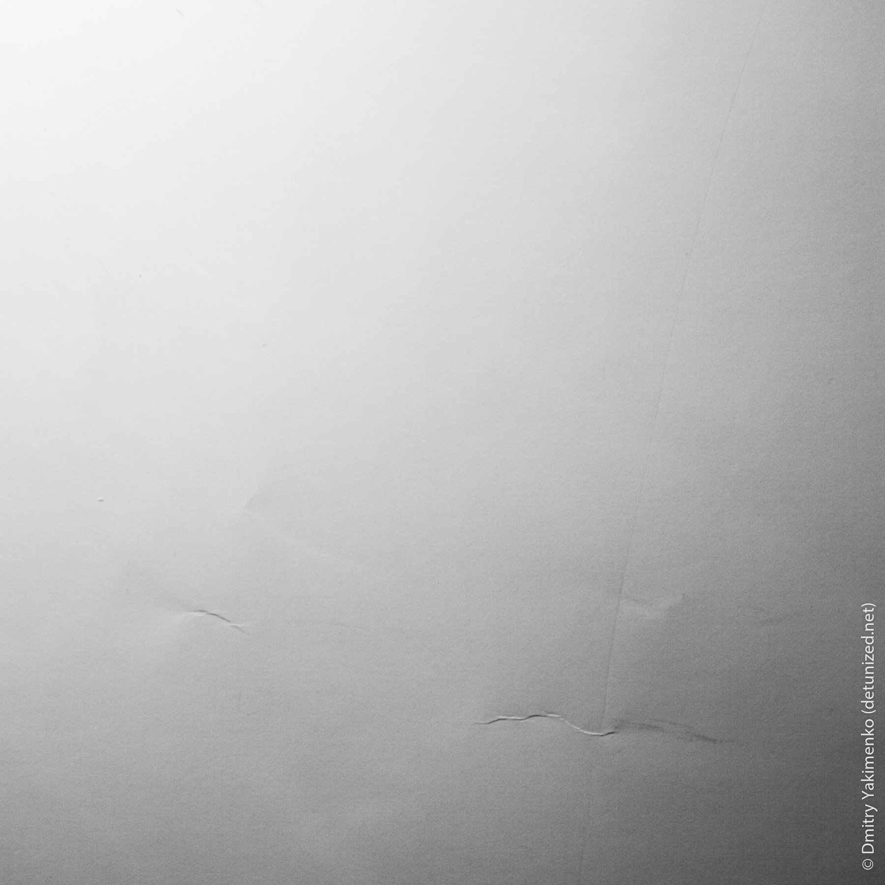 White on White, July 2006, photo 3 of 8