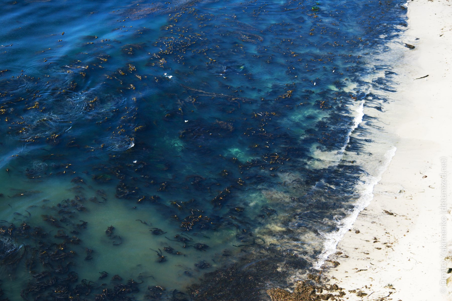 Big Sur, September 2006, photo 4 of 9