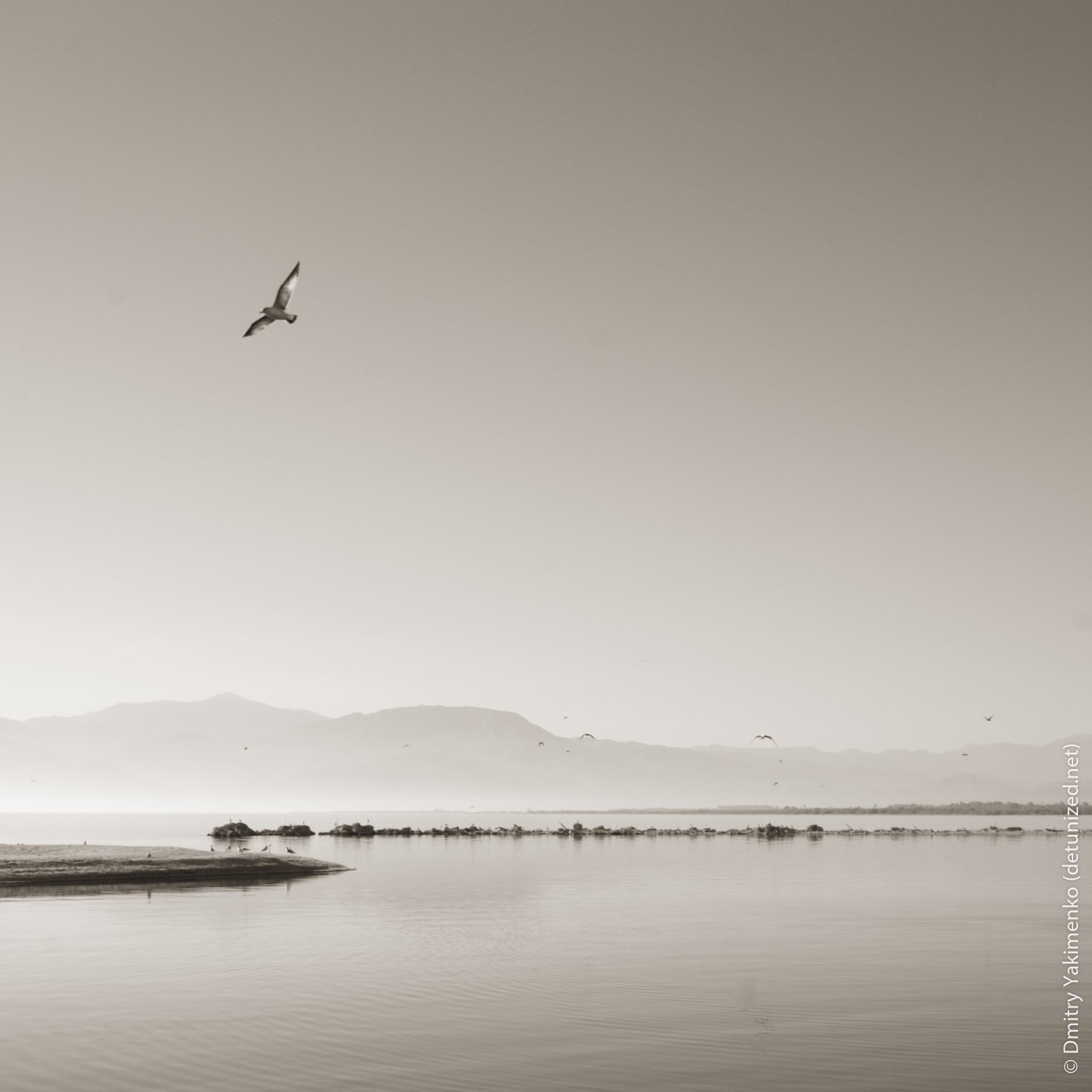 Salton Sea, November 2006, photo 1 of 10