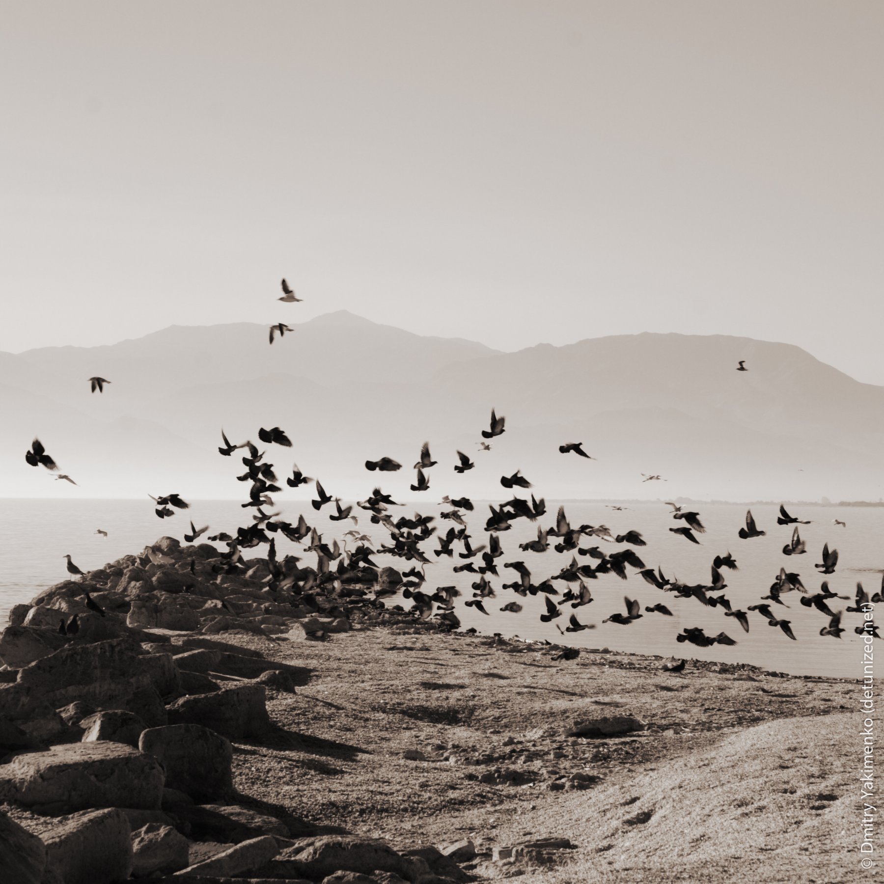 Salton Sea, November 2006, photo 4 of 10