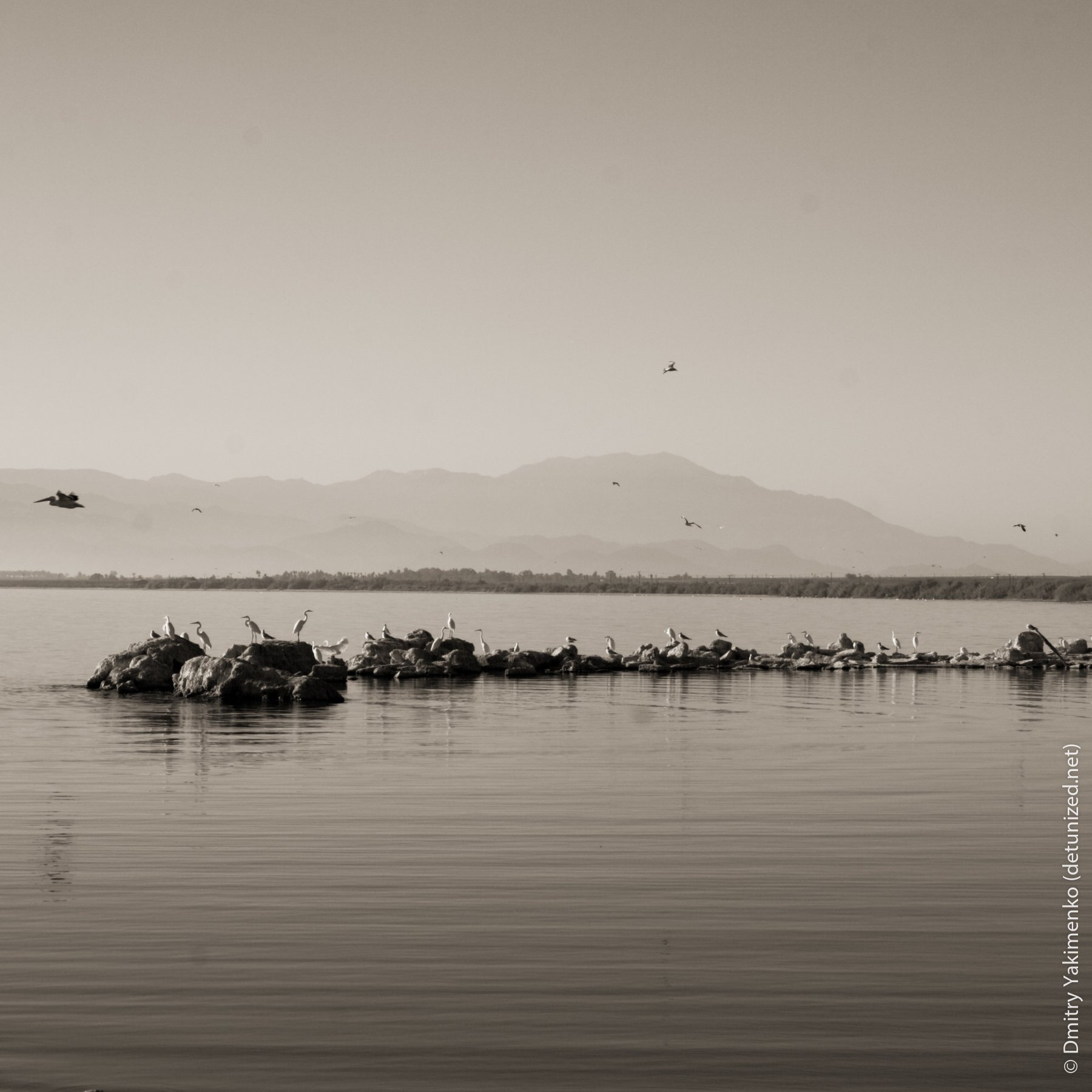 Salton Sea, November 2006, photo 5 of 10