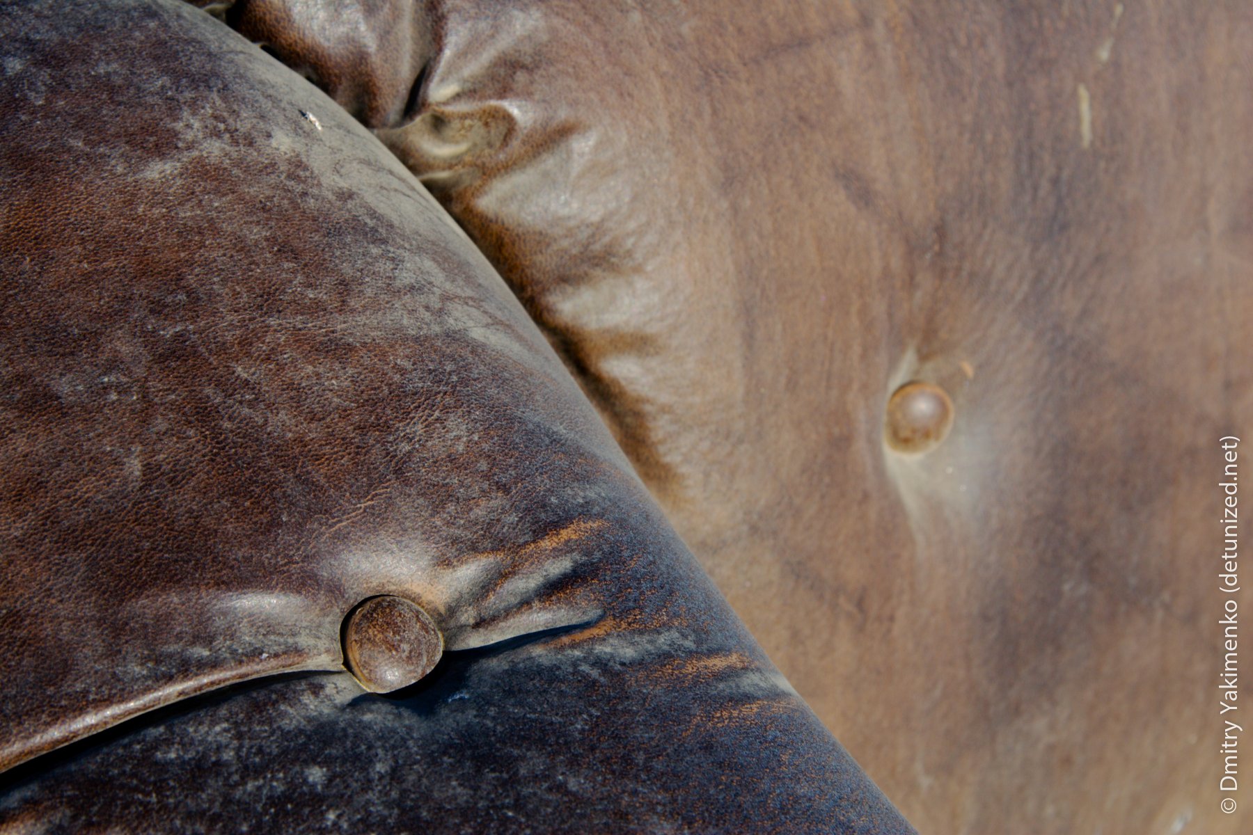 Los Angeles Details, Spring 2007, photo 1 of 15