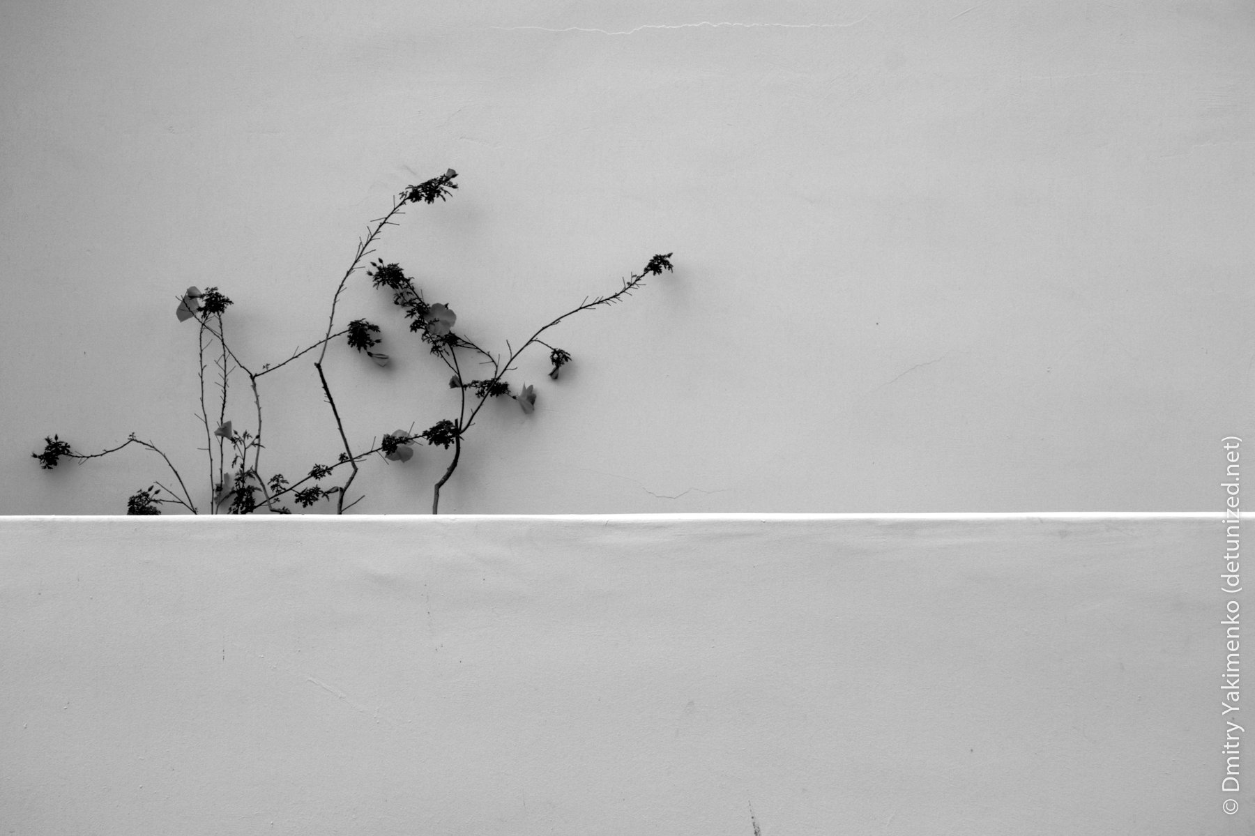 Los Angeles Details, Spring 2007, photo 10 of 15