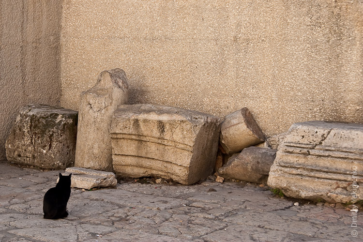 Jerusalem, January 2009, photo 4 of 23