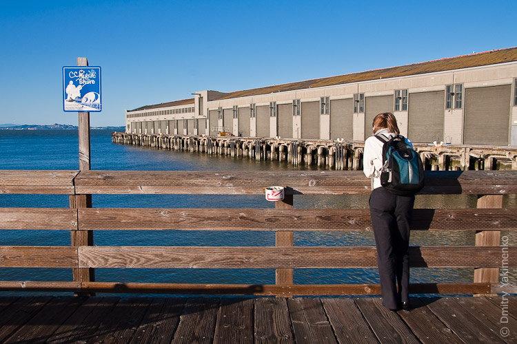 California, March 2009, photo 7 of 26