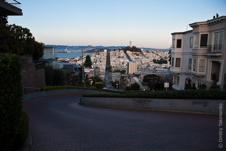 California, March 2009, photo 12 of 26