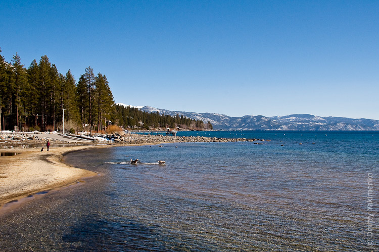 California, March 2009, photo 14 of 26