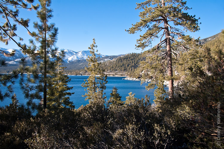 California, March 2009, photo 18 of 26