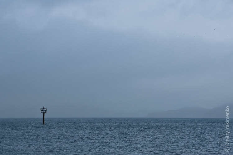 California, March 2009, photo 22 of 26