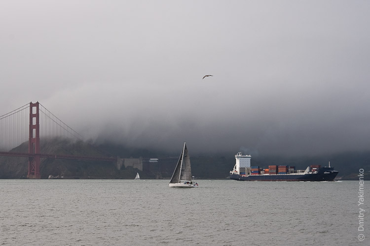 California, March 2009, photo 23 of 26