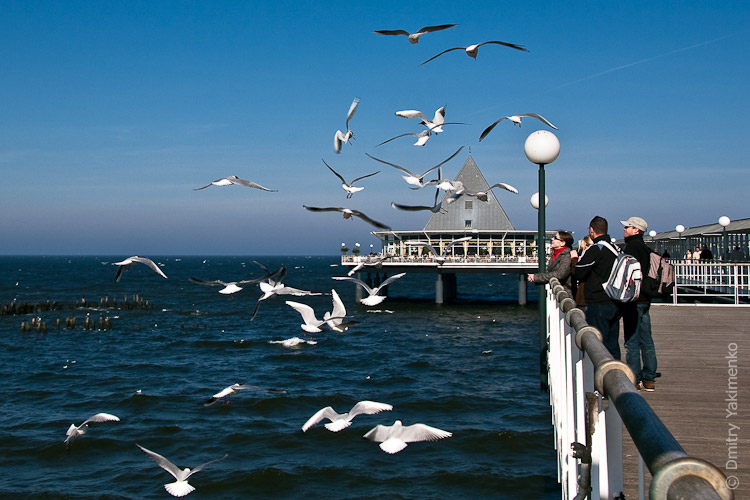 Baltic Sea, April 2009, photo 4 of 16