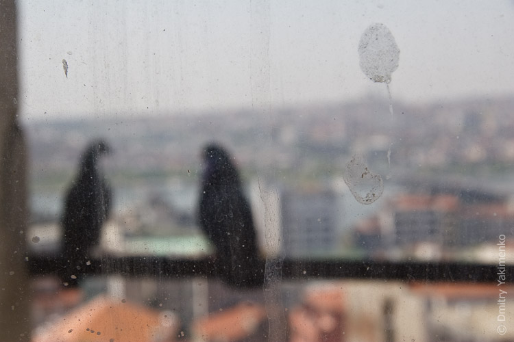 Istanbul, April 2009, photo 7 of 49
