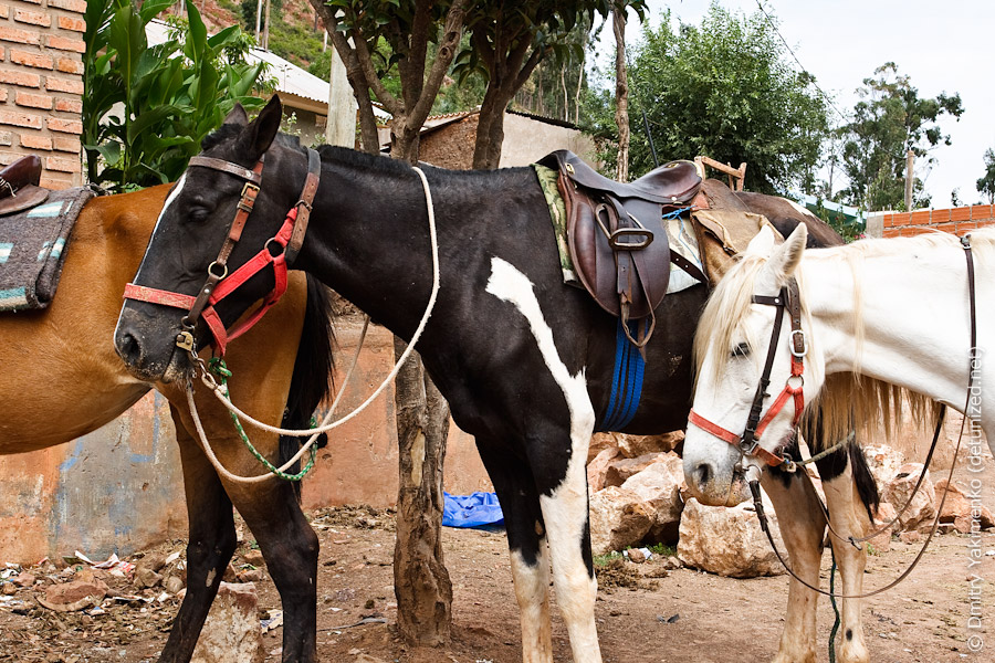 Sucre, January 2010, photo 6 of 52