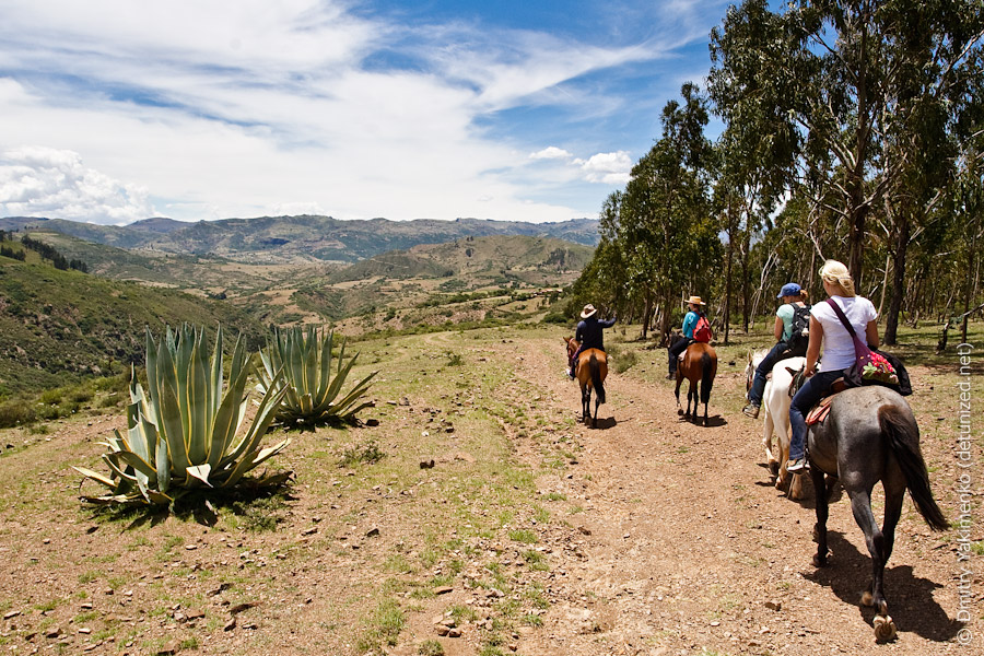 Sucre, January 2010, photo 7 of 52
