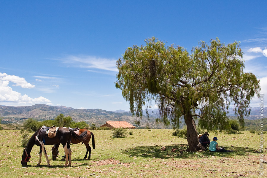 Sucre, January 2010, photo 9 of 52
