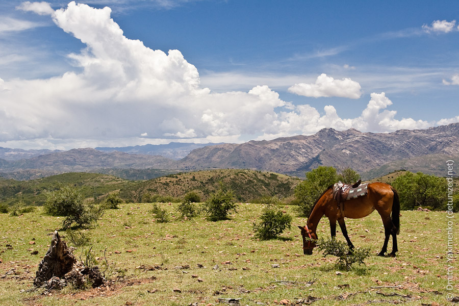 Sucre, January 2010, photo 10 of 52