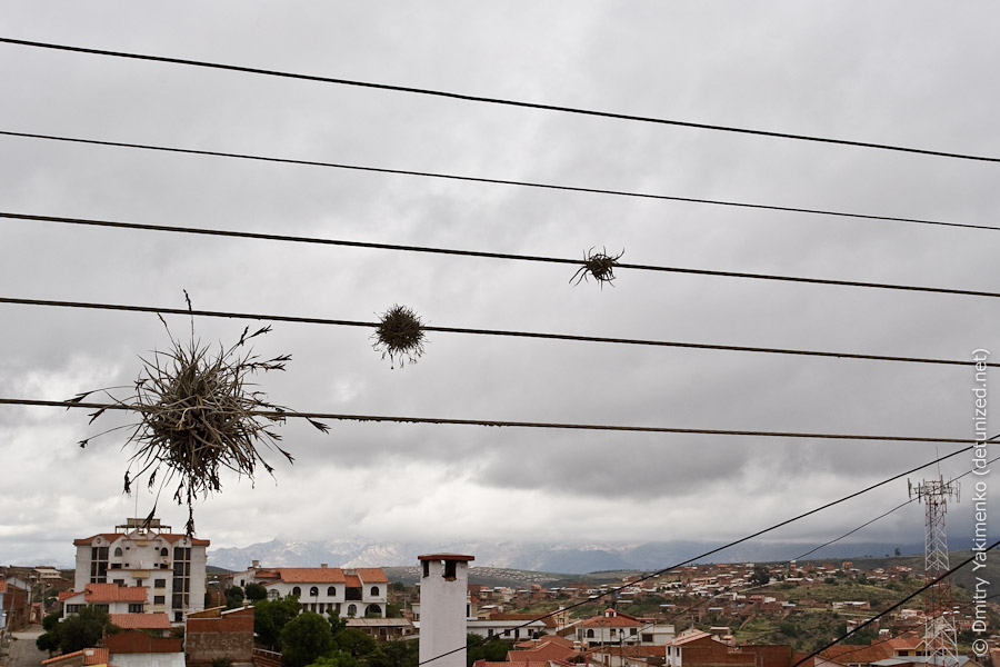 Sucre, January 2010, photo 25 of 52