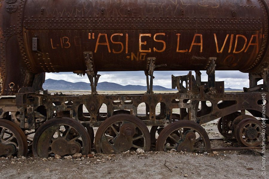 Uyuni 1, January 2010, photo 2 of 23