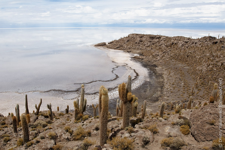 Uyuni 2, January 2010, photo 17 of 35